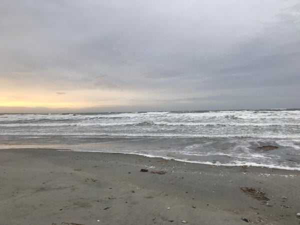 The beach at the waters edge, scattered shells and seaweed, choppy water and only a sliver of sunlight left on the horizon.