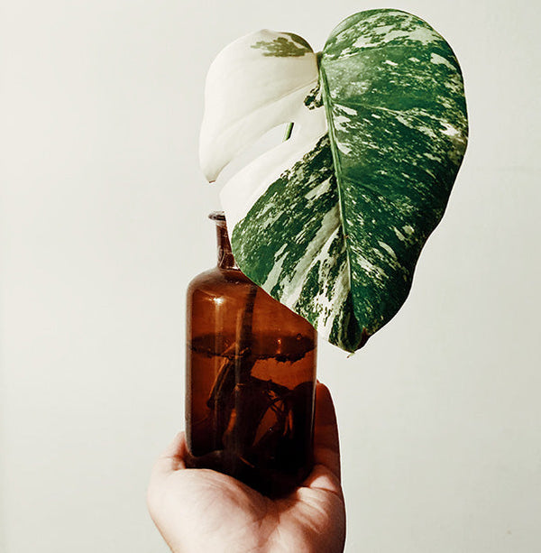 Care for your sensitive skin